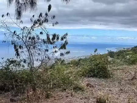 vente terrain à batir 1689 m² à saint leu (97436)  424 000 €