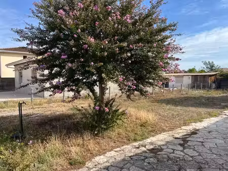 terrain