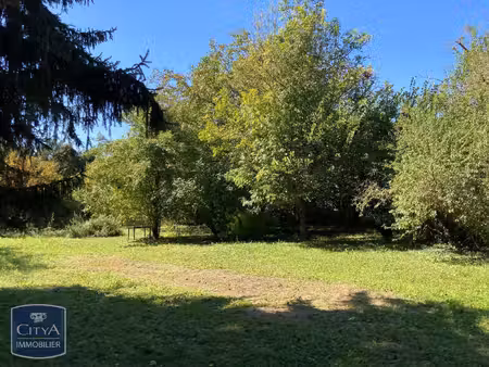 terrain