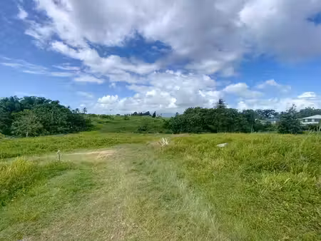 terrain constructible de 5 194m² situé à raiffer  baie-mahault
