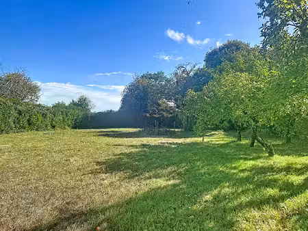vente terrain  1176.00m²  brissac loire aubance