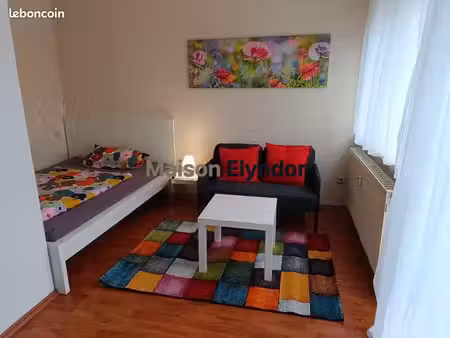 studio 1 pièce 20 m²