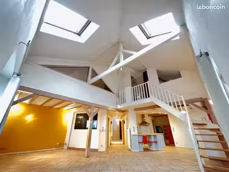 spacieux appartement / loft à mulhouse