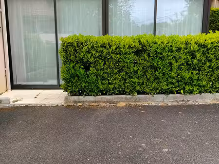 location t1 bis curistes ou à l'année