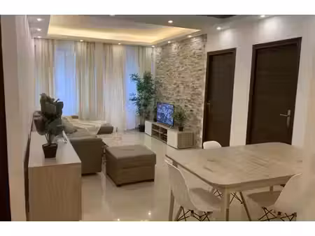 appart familial modern champselysée