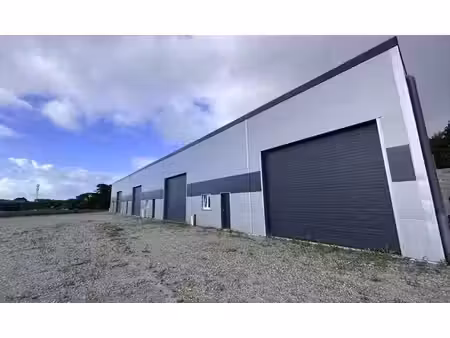 vente local d’activités ploemeur 56270 200m²