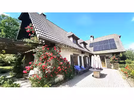 propriété avec 2 maisons + sous-sol - hauteur grilly vue m