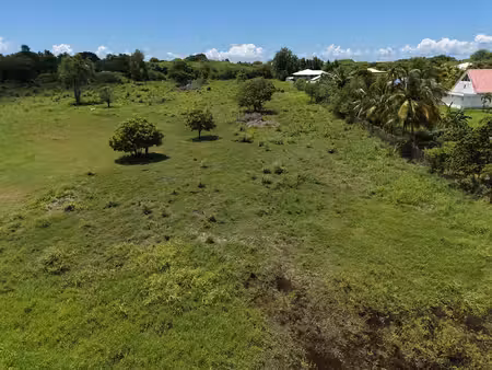 vente terrain  40000.00m²  saint
