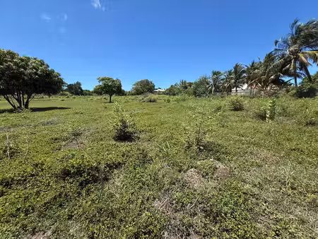 vente terrain  3000.00m²  saint