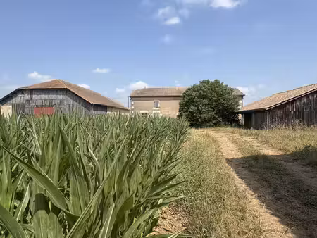 réseau immo-diffusion