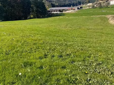 terrain constructible