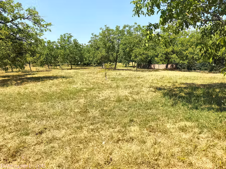 terrain arboré de 2000 m2 à 6000 m2