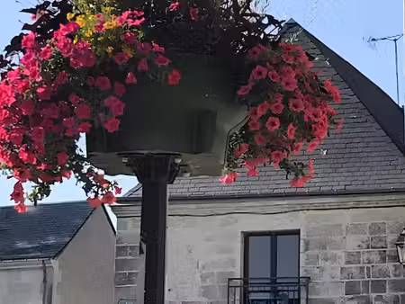 appartement 2 pièces lumineux à louer à rochecorbon - commodités à proximité !