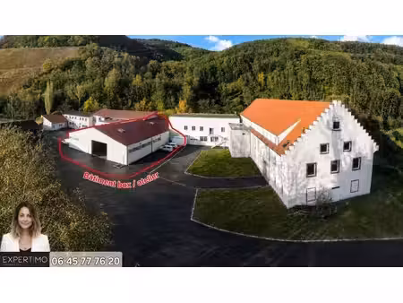 location local d’activités vieux thann 68800 35m²