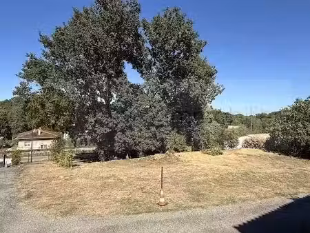 terrain à brax