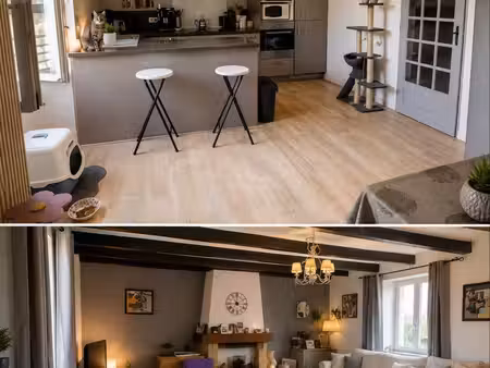 maison individuelle avec terrain