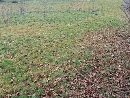 vente terrain constructible 1600m2