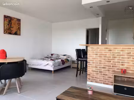 studio loft 40m2 hyper centre ville