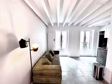 bien lire : rare studio paris 24m2 avec cour privative rez de chaussée 20 mètres de la pla