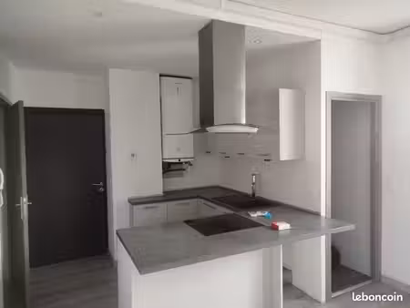 appartement rénové 56m2 (jardin  cave  climatisation