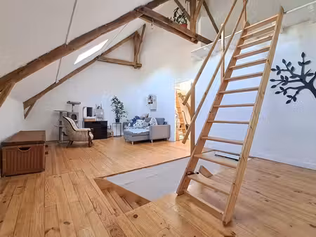 maison de caractère avec grand terrain arboré à briffons
