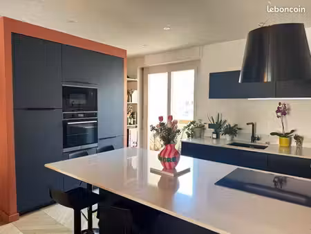 grand appartement lyon 6  climatisé  garage en sus