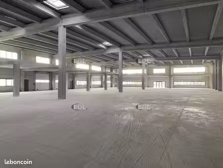 local d'activité 637 m²