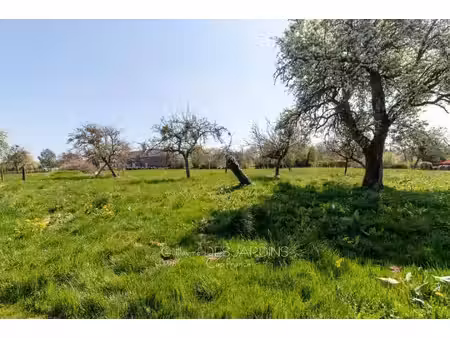 terrain constructible à vendre