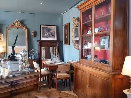 boutique 38 m² villeurbanne