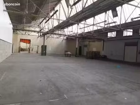 local d'activité 600 m²