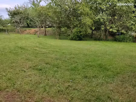 terrain constructible