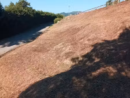 terrain avec une source