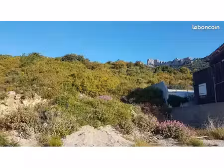 terrain constructible et viabilisé de 1156 m² à duilhac sous peyrepertuse (aude)