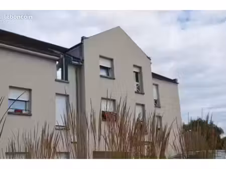 studio 1 pièce 31 m²