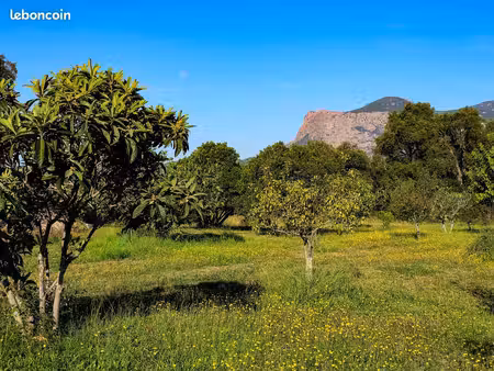 terrain constructible 3470 m² avec vue monte gozzi - cuttoli-corticchiato