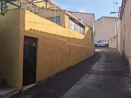 micheli