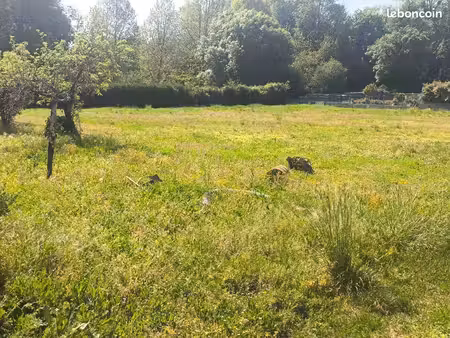 terrain 1 250 m² nercillac