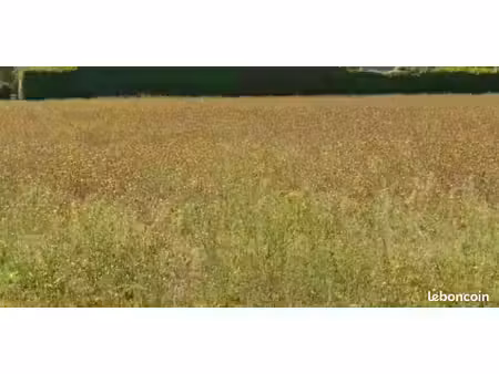 terrain 278 m² aigrefeuille d aunis