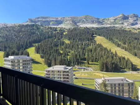 mountain collection immobilier