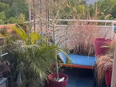 t2 à boucan canot avec grande terrasse...