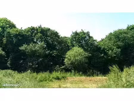 terrain 598 m² erquy