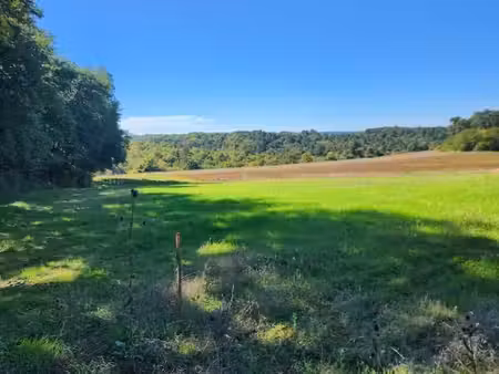 terrain 1 000 m² la chapelle gonaguet