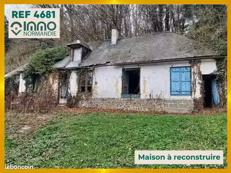 maison 50 m² mesnil-en-ouche