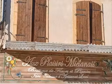 immeuble avec local commercial
