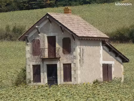 maison sur terrain agricole + terres