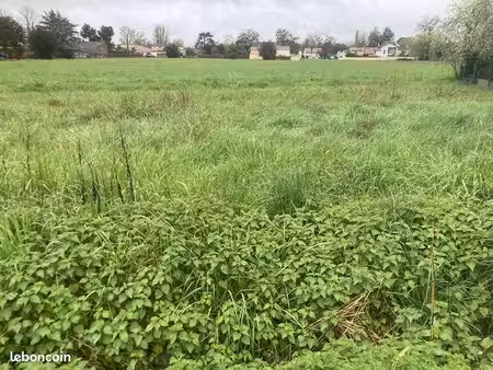 terrain 277 m² libourne