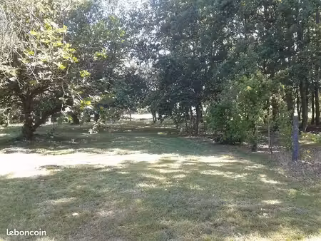 terrain 1 200 m² fonsorbes