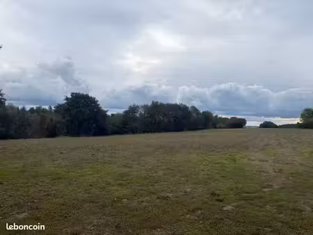 terrain 700 m² montastruc la conseillere