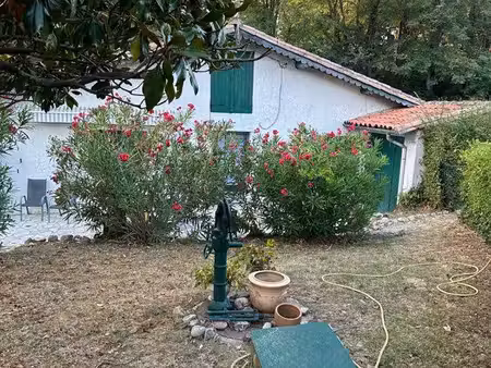 maison landaise