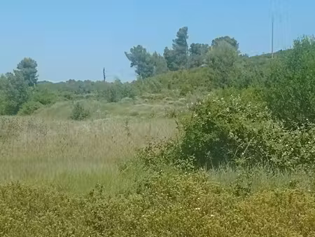 vends terrains agricoles et de loisirs à grabels